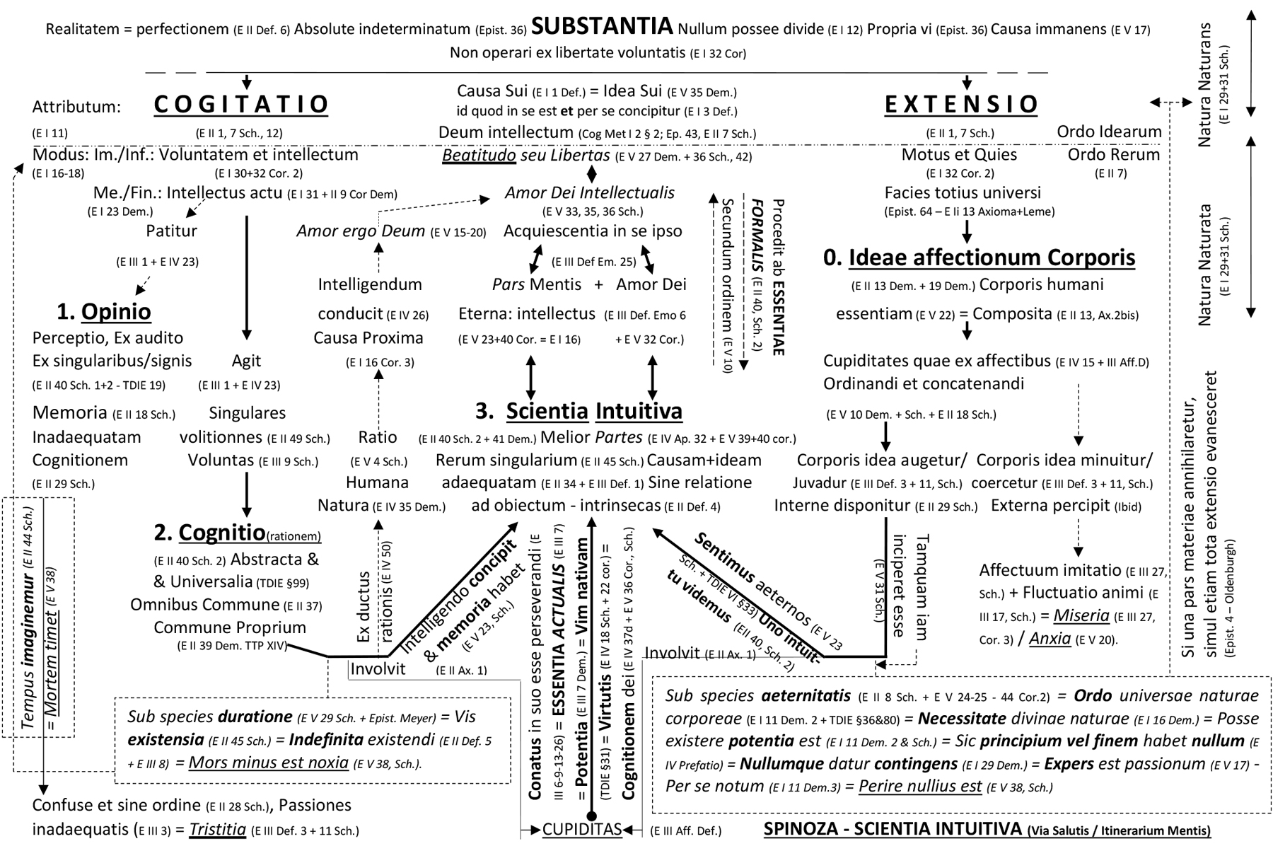 5. Spinoza - Scientia Intuitiva