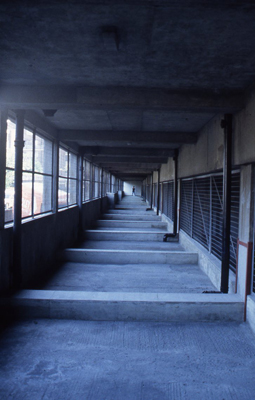 Jacqueline Pennell, Mirror Mirror, installation view, mixed media, Sarah Lane Studios Car Park, 1996