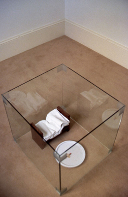 Jacqueline Pennell, Untitled, installation view, mixed media, 1994